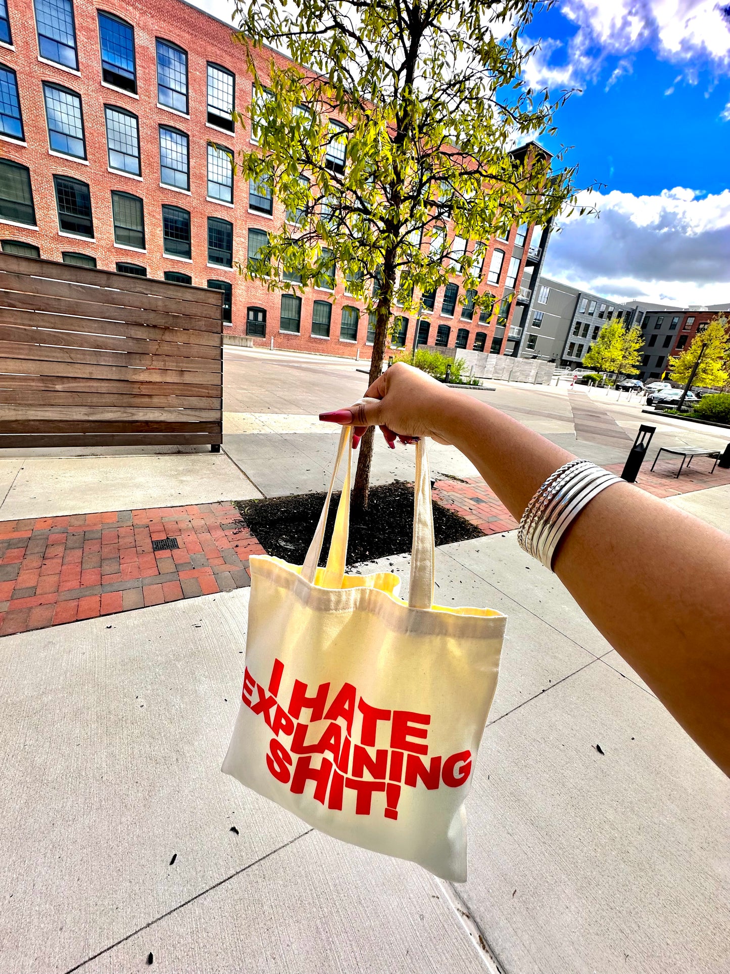 I hate explaining bag